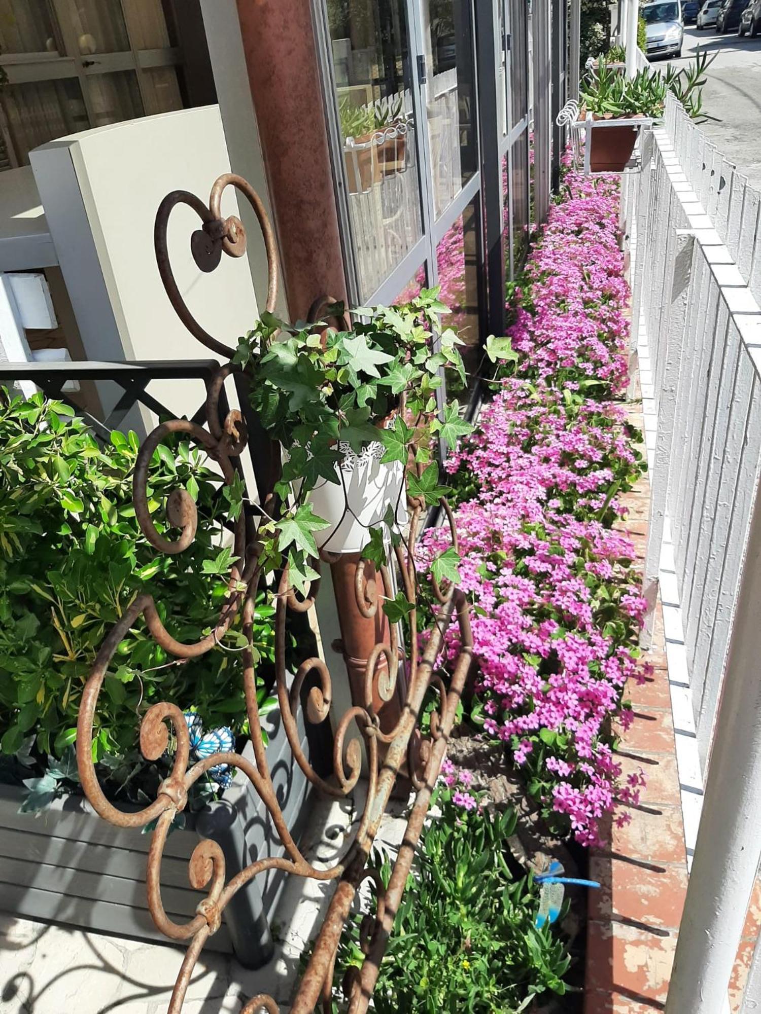 Hotel Sabbia D'Oro Rimini Dış mekan fotoğraf